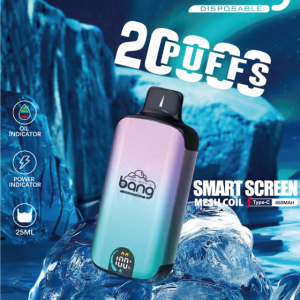 Bang 25000 Puffs 超大屏幕 超大容量可充電拋棄式電子煙/台灣現貨