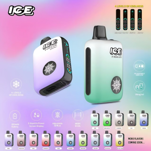 ICE FREEZE 10000 PUFFS 拋棄式電子煙 四檔涼度調節 /台灣現貨/